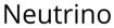 the two particle theory of physics - neutrino label